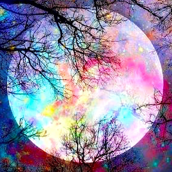 Thank you for visiting - Picture 1 of 1